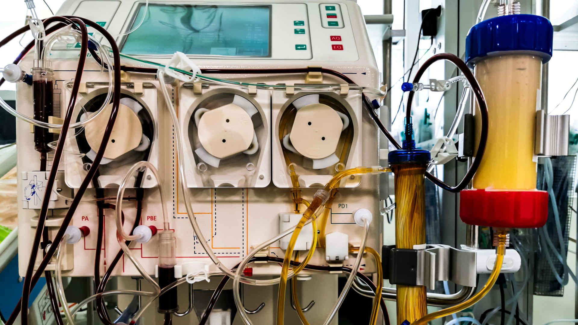 Blood purification machine